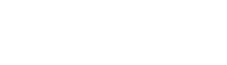 Logo – Bund der Selbständigen